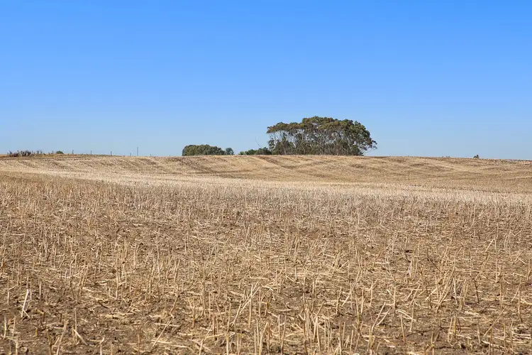 Fifth view of Homely rural property listing, 125 Pierces Road, Weering VIC 3251
