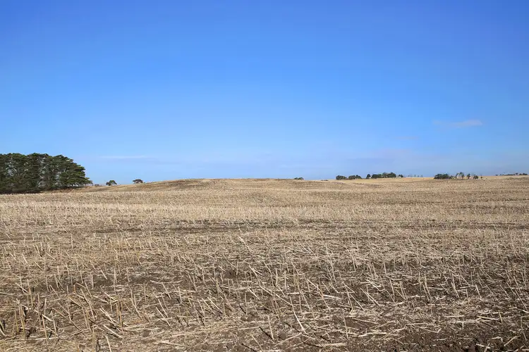 Seventh view of Homely rural property listing, 125 Pierces Road, Weering VIC 3251