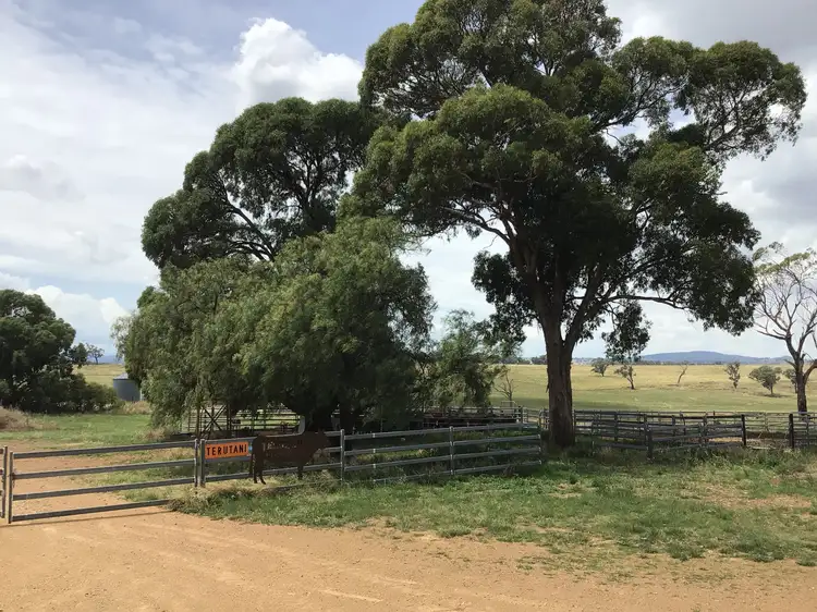 Main view of Homely rural property listing, ‘Terutani’ 1097 Davys Plains Road, Cudal NSW 2864