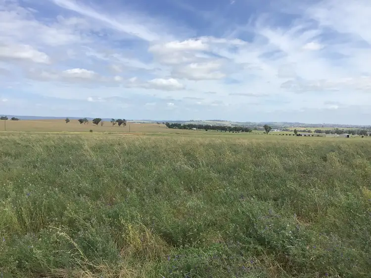 Second view of Homely rural property listing, ‘Terutani’ 1097 Davys Plains Road, Cudal NSW 2864
