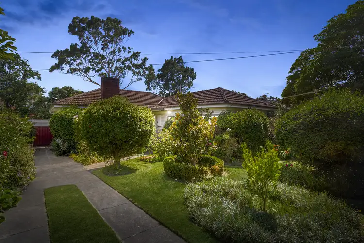 19 David Street, Box Hill South VIC 3128