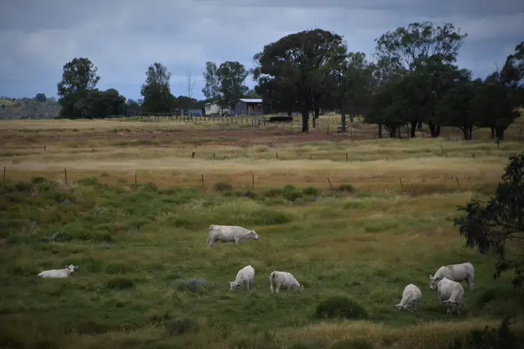 Fifth view of Homely rural property listing, 170 Morelands Road, Dululu QLD 4702