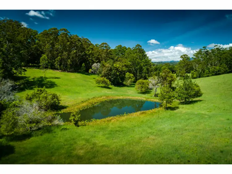 Second view of Homely rural property listing, 60 Reids Road, Bellingen NSW 2454