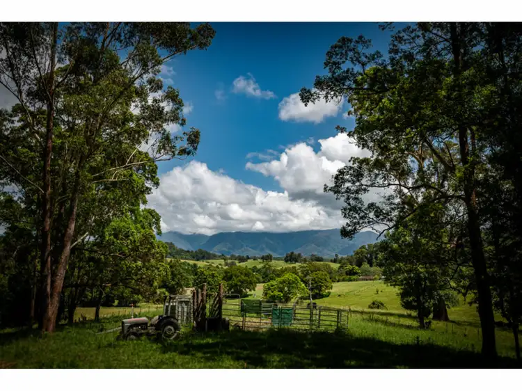 Third view of Homely rural property listing, 60 Reids Road, Bellingen NSW 2454