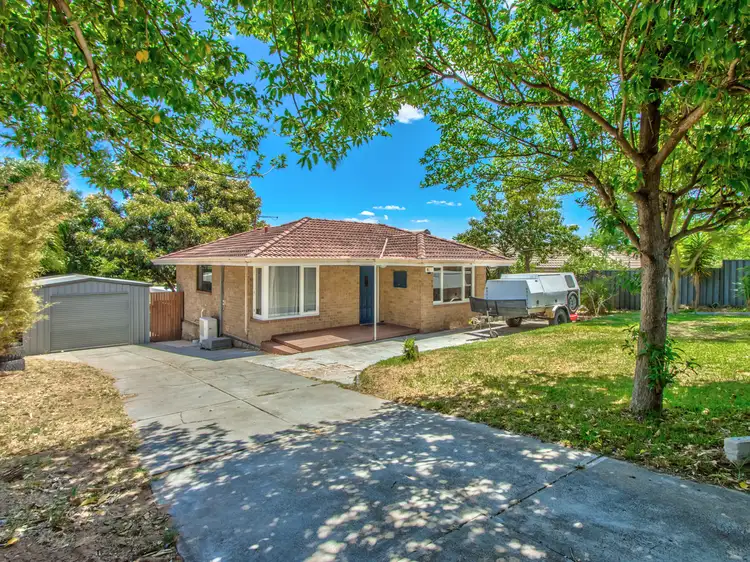 81 Orelia Avenue, Orelia WA 6167