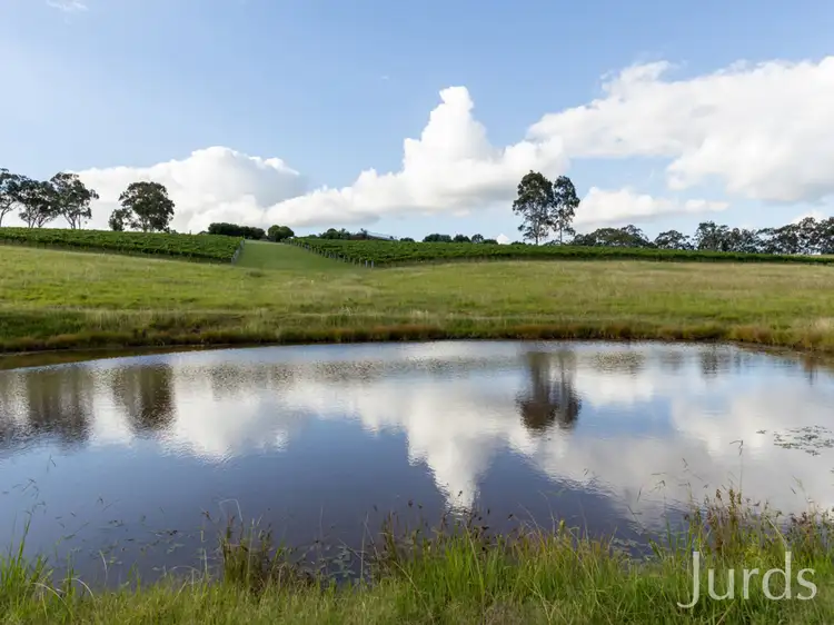 Sixth view of Homely rural property listing, 119 Marrowbone Road, Pokolbin NSW 2320