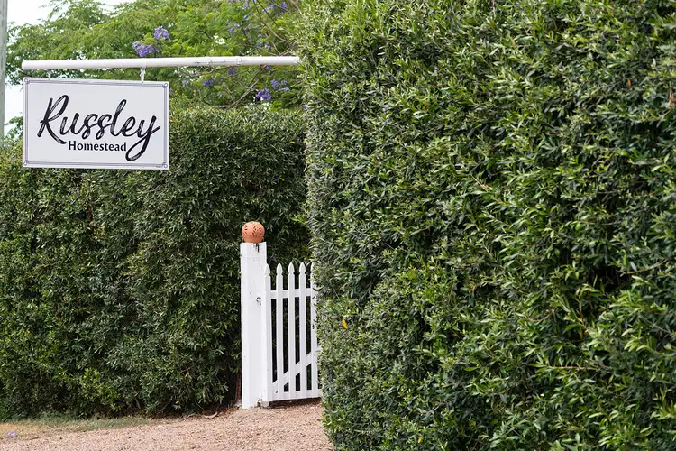 Second view of Homely rural property listing, 242 Segenhoe Road, Scone NSW 2337
