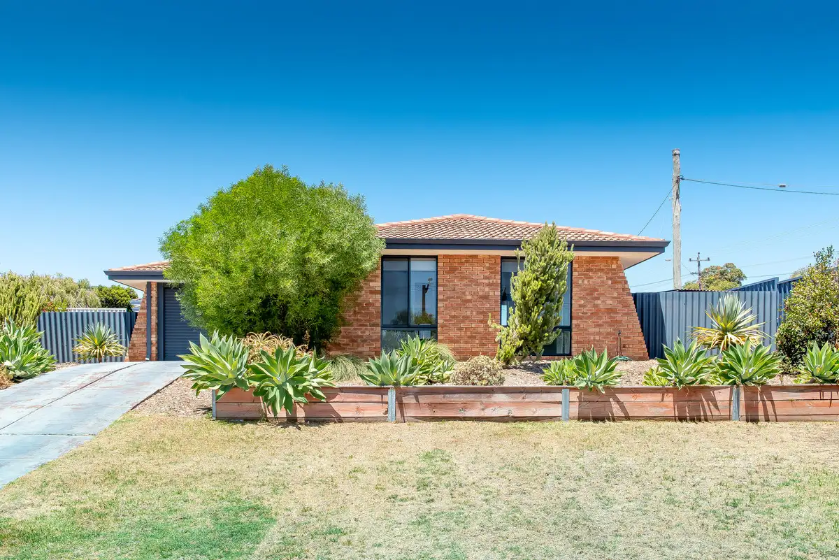 Main view of Homely house listing, 135 Warrandyte Drive, Craigie WA 6025