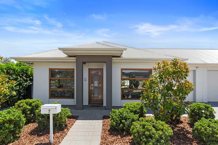 7 Peter Street