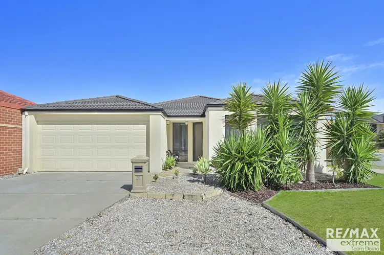 31 Innesvale Way, Carramar WA 6031