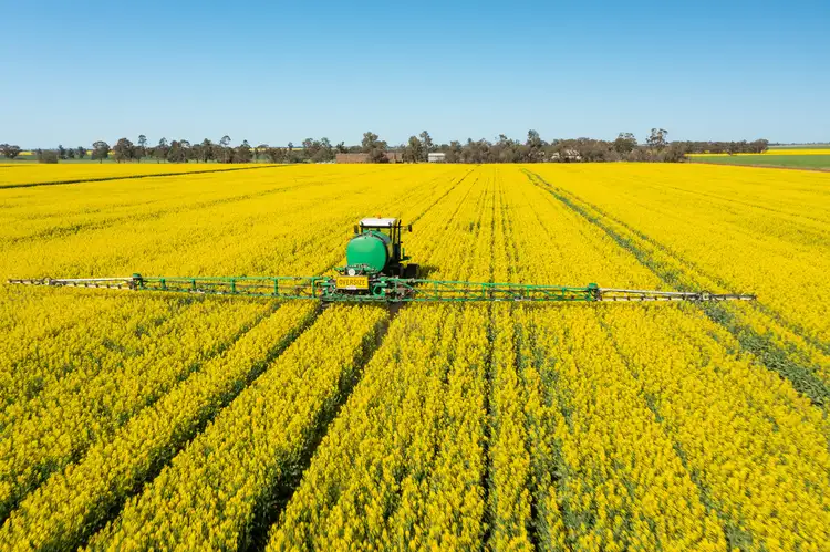 Seventh view of Homely rural property listing, 318 Craigs Road, Berrigan NSW 2712