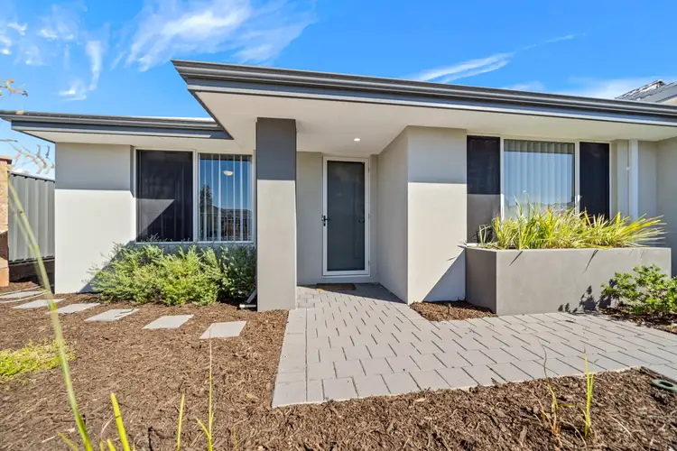 294 Grandis Boulevard, Banksia Grove WA 6031