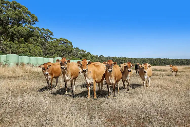 Second view of Homely rural property listing, Boorook Road, Cooriemungle VIC 3268