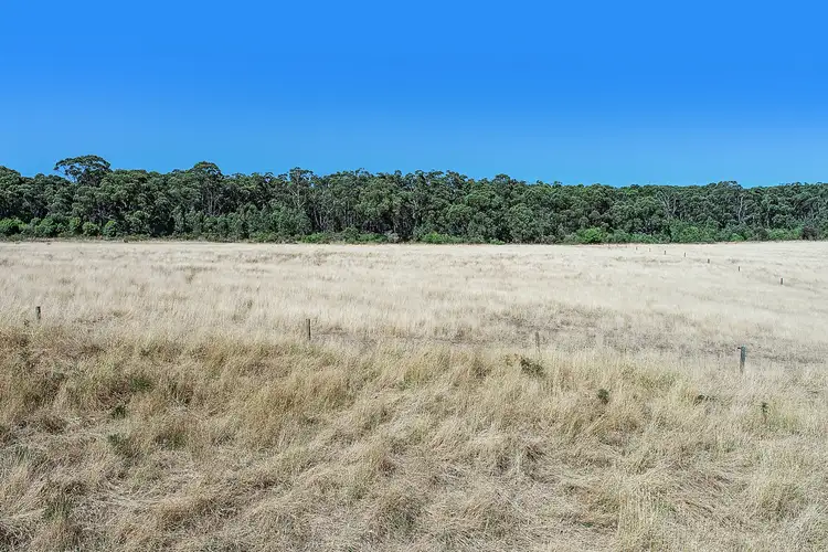 Third view of Homely rural property listing, Boorook Road, Cooriemungle VIC 3268