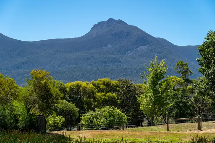 Fourth view of Homely house listing, 60 Misty Hill Road, Mountain River TAS 7109