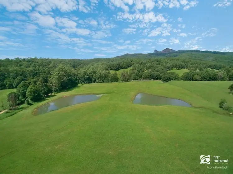 9 Tyalgum Ridge Road, Tyalgum NSW 2484