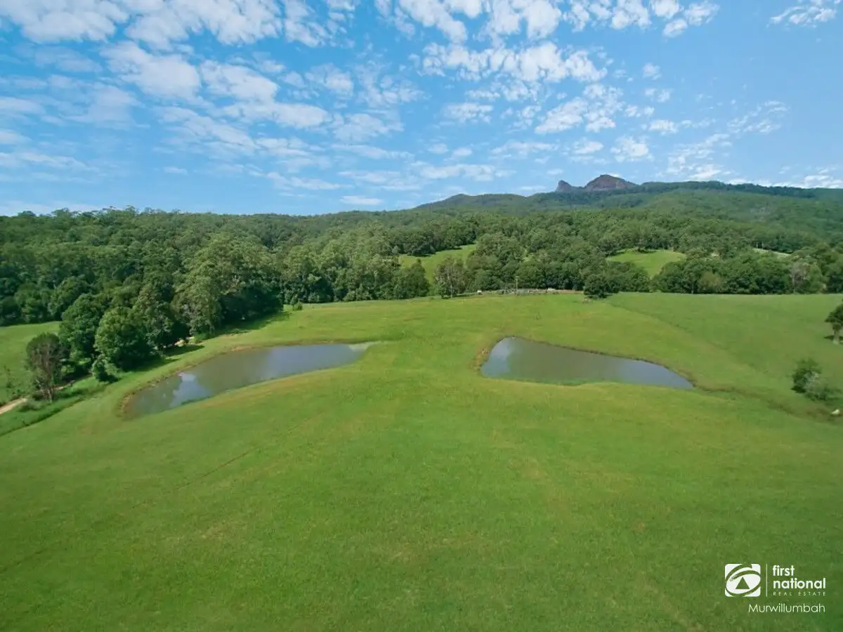 Main view of Homely rural property listing, 9 Tyalgum Ridge Road, Tyalgum NSW 2484