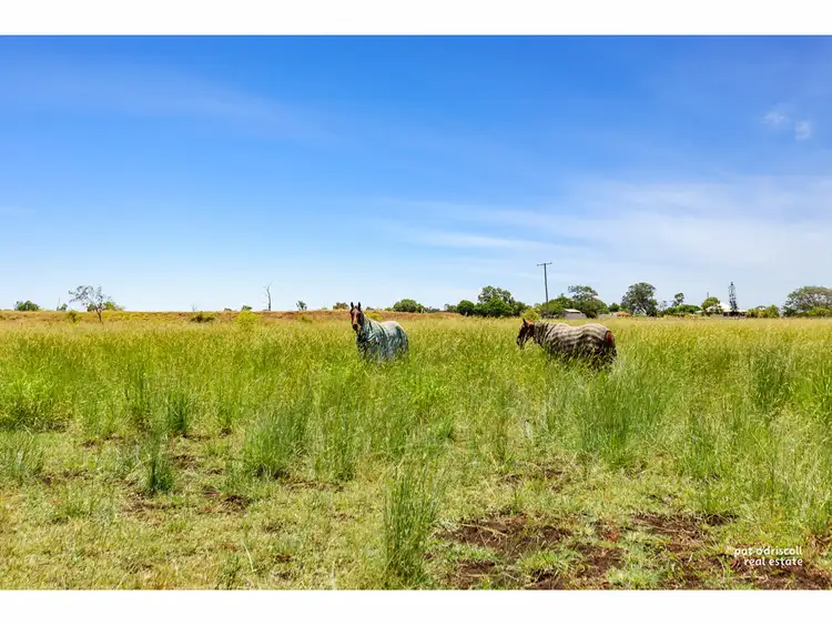Second view of Homely rural property listing, 1179 Ridgelands Road, Alton Downs QLD 4702