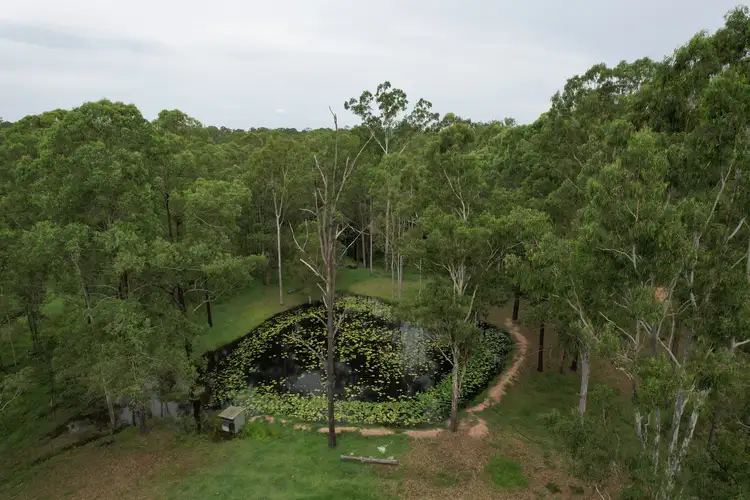 Second view of Homely rural property listing, 648-664 Teviot Road, South Maclean QLD 4280