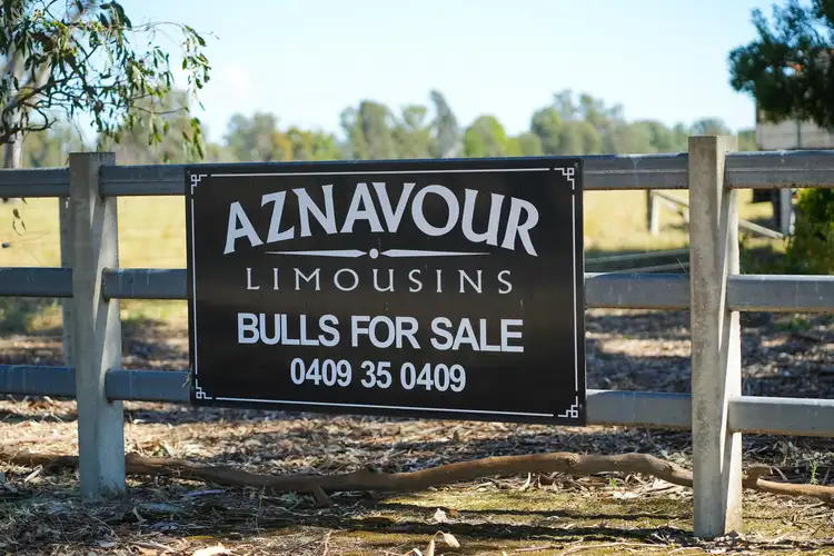 Fourth view of Homely rural property listing, 531 Snow Road, Laceby VIC 3678