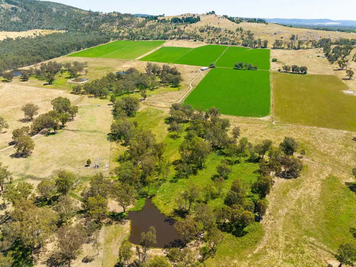 Main view of Homely rural property listing, 13 Rocky Valley Lane, Indigo Valley VIC 3688