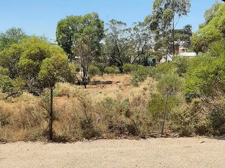 Second view of Homely land listing, 19 Railway Street, Peterborough SA 5422