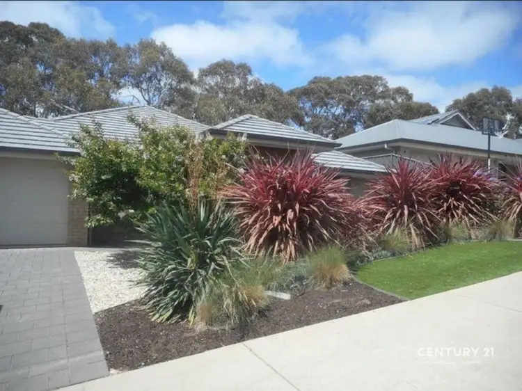 Second view of Homely house listing, 16 Bentham Court, Mount Barker SA 5251