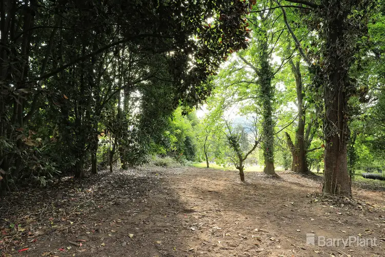 Fifth view of Homely house listing, 11 Hamilton Road, Emerald VIC 3782