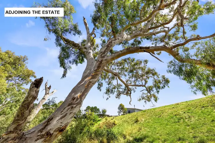 Sixth view of Homely land listing, LOT 3 Davidson Street, Winchelsea VIC 3241