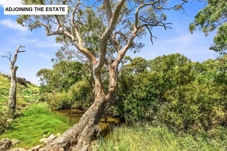 Sixth view of Homely land listing, LOT 9 Davidson Street, Winchelsea VIC 3241