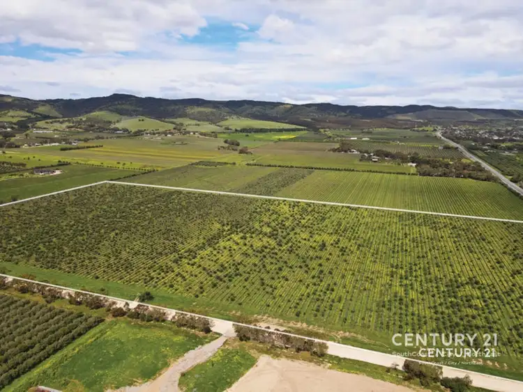 Third view of Homely rural property listing, Lot 352 Main South Road, Sellicks Hill SA 5174