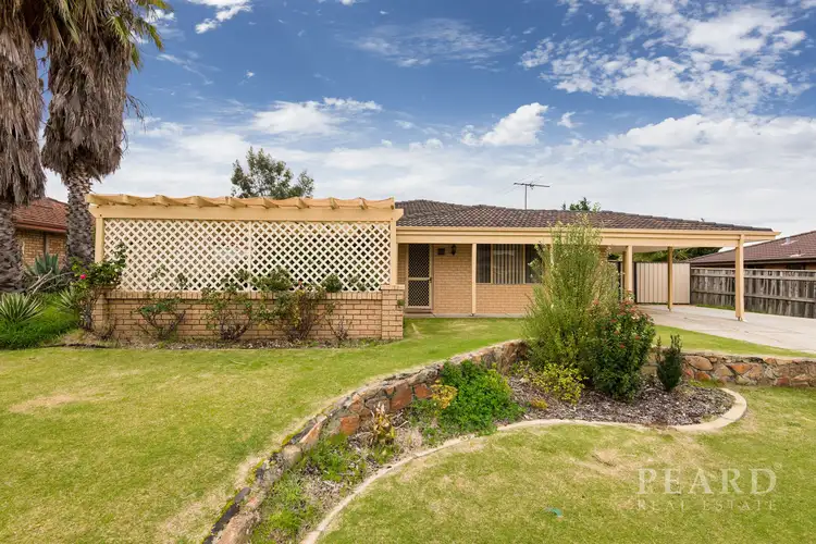 16 Manito Court, Joondalup WA 6027