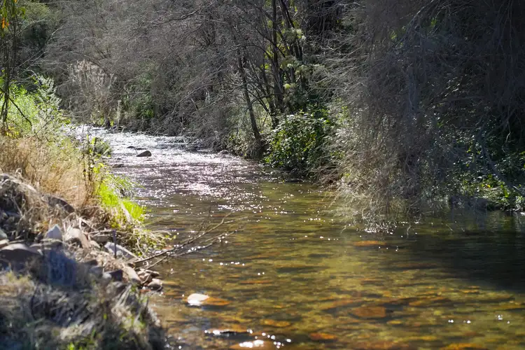 Fourth view of Homely rural property listing, LOT 2 Cudgewa Bluff Road, Cudgewa VIC 3705