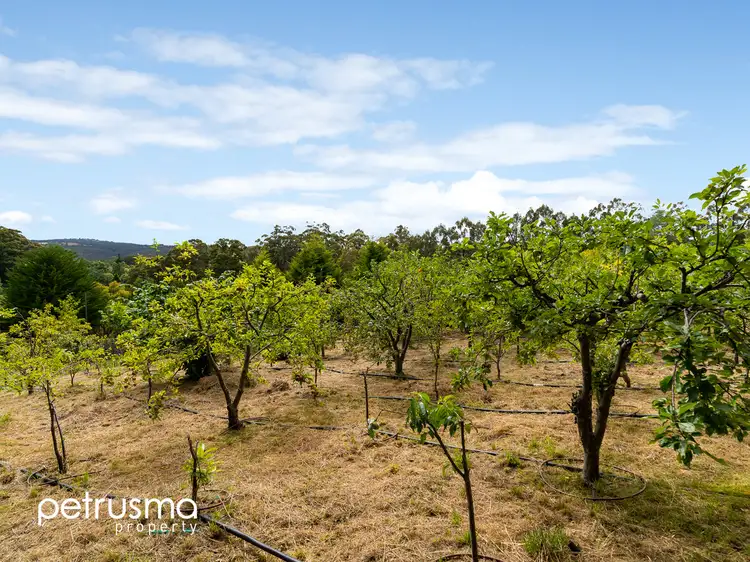 Fifth view of Homely land listing, 63 Pregnells Road, Allens Rivulet TAS 7150