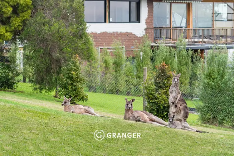Second view of Homely house listing, 8 Danina Court, Rosebud VIC 3939