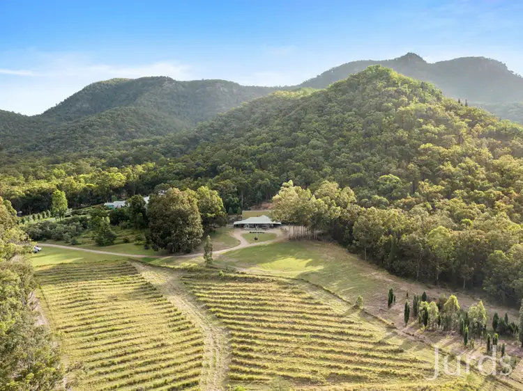 Main view of Homely rural property listing, 1744 Broke Road, Pokolbin NSW 2320