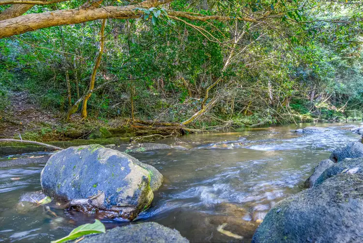 Fourth view of Homely rural property listing, 412 Sandy Creek Road, Mount Vincent NSW 2323