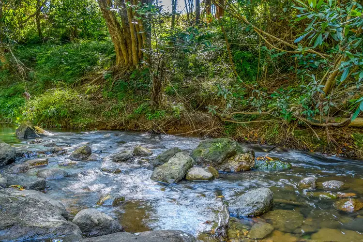 Fifth view of Homely rural property listing, 412 Sandy Creek Road, Mount Vincent NSW 2323