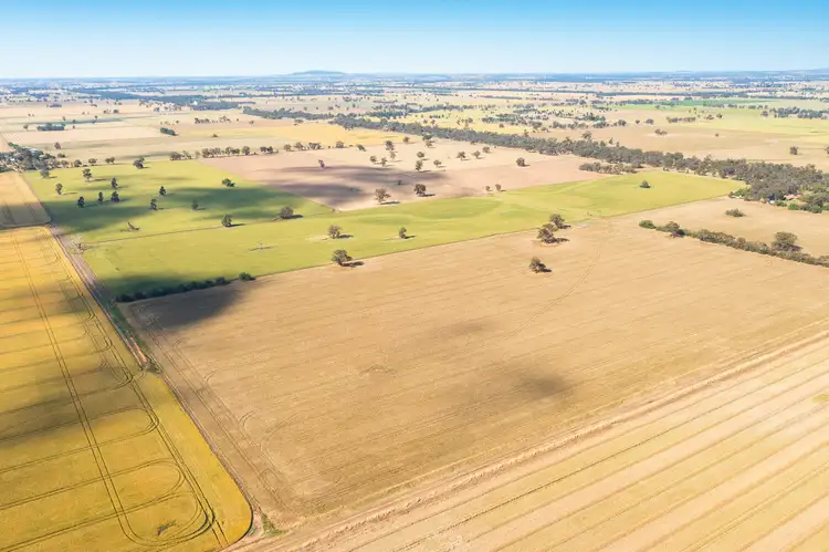 Main view of Homely rural property listing, Hopefield Road, Hopefield NSW 2646