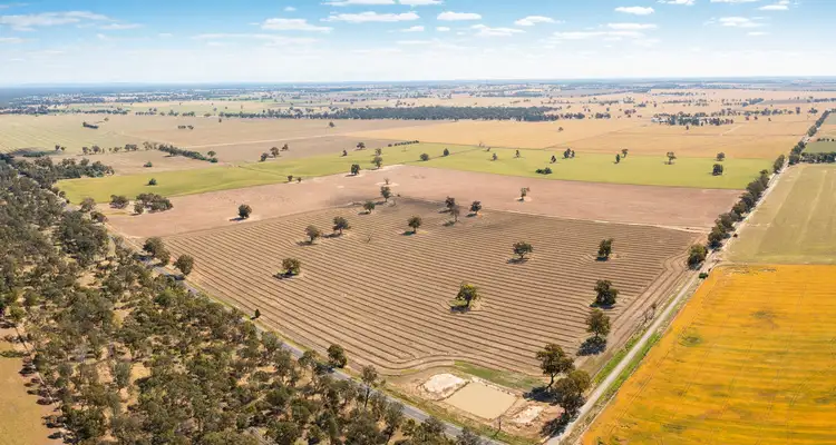 Fourth view of Homely rural property listing, Hopefield Road, Hopefield NSW 2646