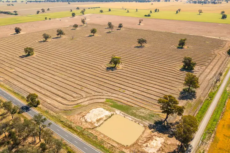 Fifth view of Homely rural property listing, Hopefield Road, Hopefield NSW 2646