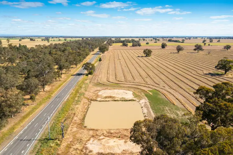 Sixth view of Homely rural property listing, Hopefield Road, Hopefield NSW 2646