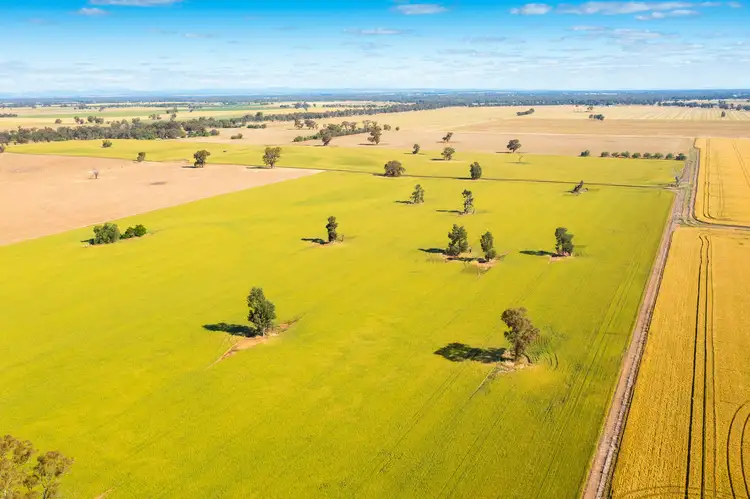 Seventh view of Homely rural property listing, Hopefield Road, Hopefield NSW 2646