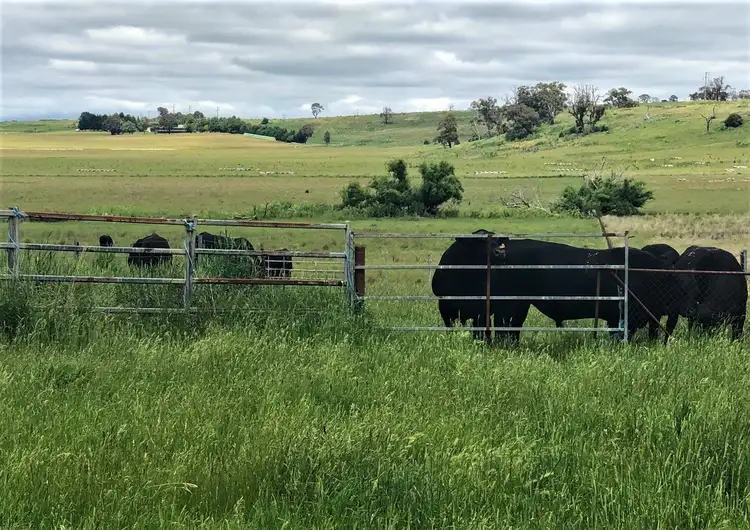 Main view of Homely rural property listing, 'The Valley' 4397 Mitchell Highway, Orange NSW 2800