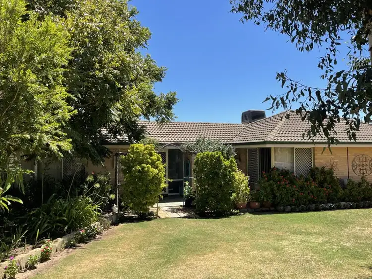 Main view of Homely house listing, 55 Viveash Road, Swan View WA 6056