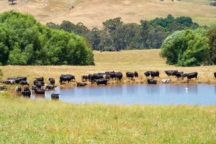Second view of Homely rural property listing, 1220 Wodonga-Yackandandah Road, Allans Flat VIC 3691