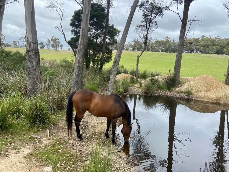 Sixth view of Homely land listing, Lot 1 Red Road, Pipers River TAS 7252