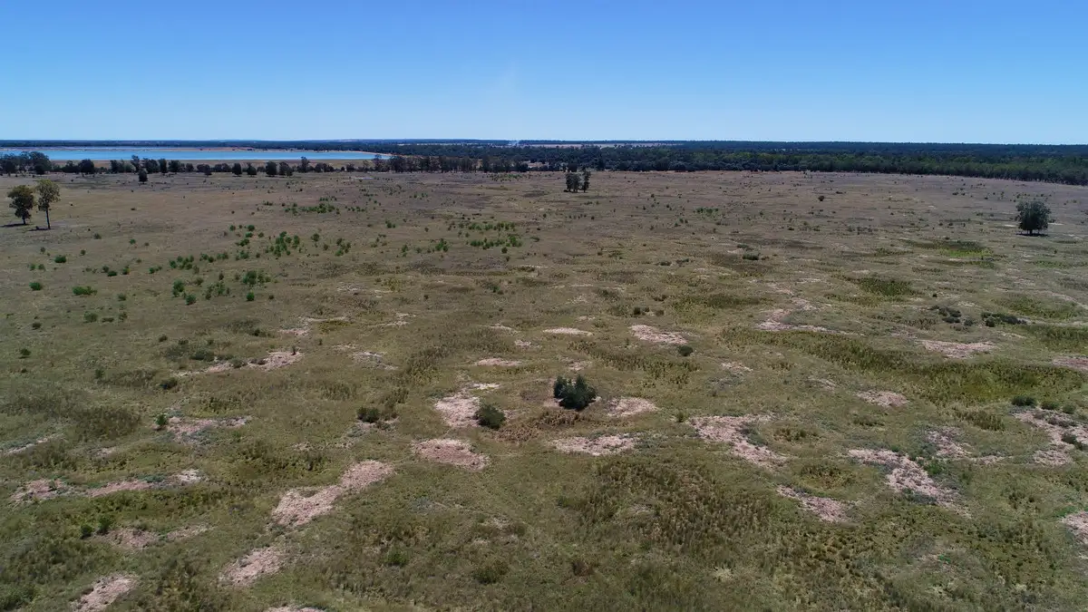 Main view of Homely rural property listing, LOT 4 Chinchilla Tara Road, Wieambilla QLD 4413