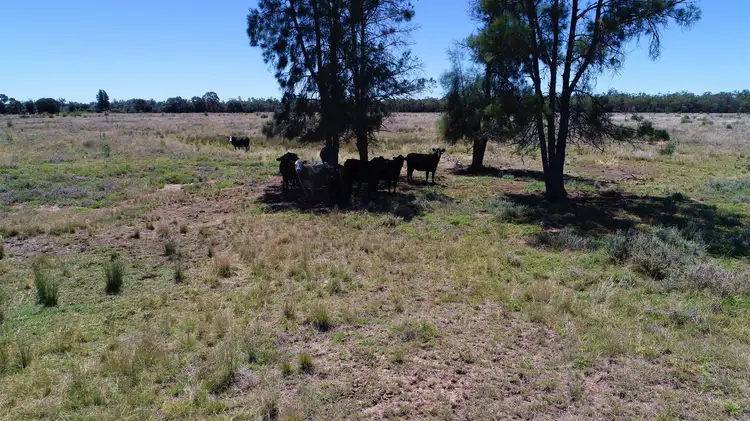Fifth view of Homely rural property listing, LOT 4 Chinchilla Tara Road, Wieambilla QLD 4413