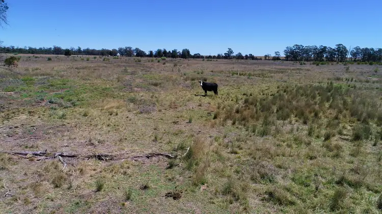 Sixth view of Homely rural property listing, LOT 4 Chinchilla Tara Road, Wieambilla QLD 4413
